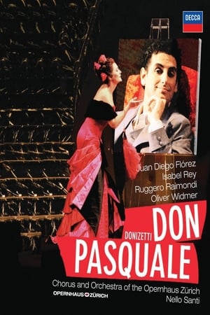 Poster Don Pasquale (2007)