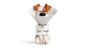 The Secret Life of Pets 2 (2019)