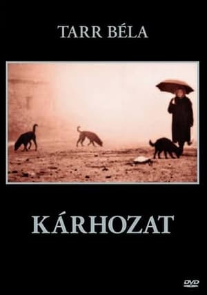 Poster Kárhozat 1988