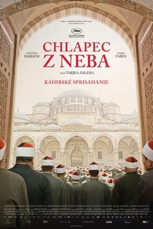 Poster Chlapec z neba 2022