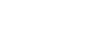 La flor de nokdu — Logos 7