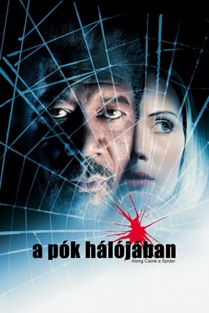 Poster A pók hálójában 2001