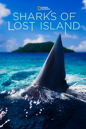 Poster Sharks of Lost Island (2013)