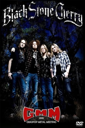 Poster Black Stone Cherry - Graspop Metal Meeting 2015 2015