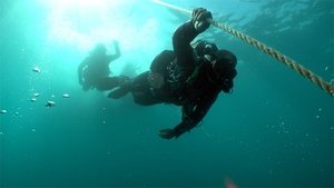 The Third Dive: The Death of Rob Stewart
