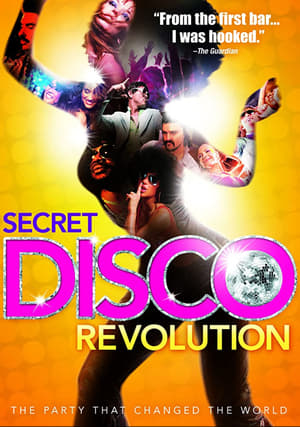 The Secret Disco Revolution poster