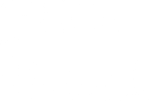 A Mulher Ilegal — Logos 2