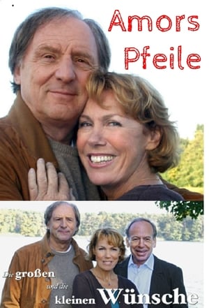 Poster Die großen und die kleinen Wünsche - Amors Pfeile (2007)