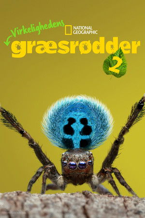 Virkelighedens Græsrødder: Sæson 2