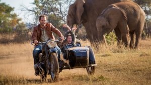 Mia and the White Lion (2018) Online Subtitrat in Romana