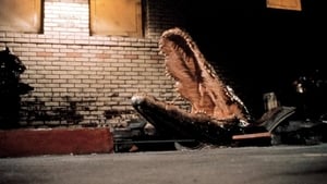 Alligator 1980