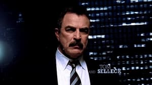 Blue Bloods Season 1 : Age of Innocence