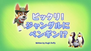 ビックリ!ジャングルにペンギン!?