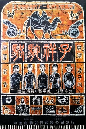 Poster 骆驼祥子 1982