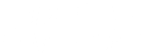 Первая ракетка — Logos 1