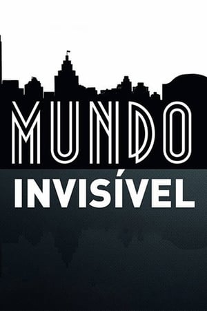 Poster Mundo Invisível 2012