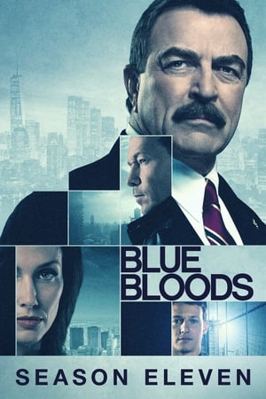Blue Bloods - Sangue Azul Torrent
