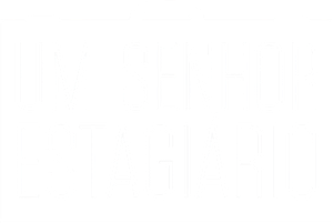 Um Senhor Estagiário