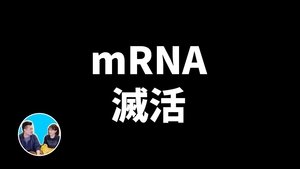 Episode 285
