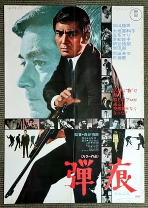 Poster 弾痕 1969