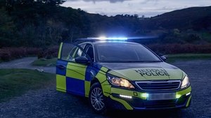 A Rescue Network