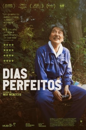 Image Dias Perfeitos