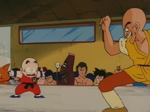 Dragon Ball Season 1 Episode 20