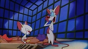 Pinky & der Brain: 1×6