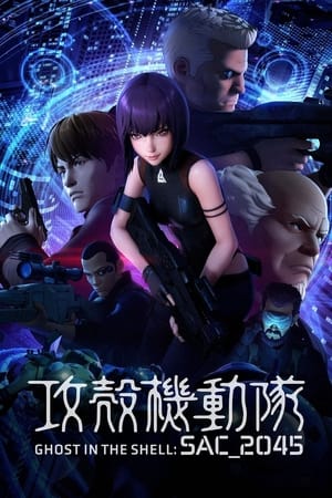 Ghost in the Shell: SAC_2045 24
