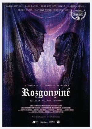 Poster Rozgonyiné (2019)