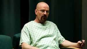 Breaking Bad Season 4 Episode 8