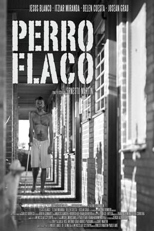 Poster Perro flaco 2011