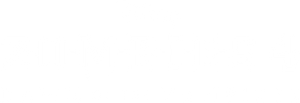 Z-O-M-B-I-E-S 4: Dawn of the Vampires