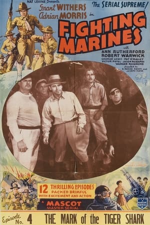 The Fighting Marines poster