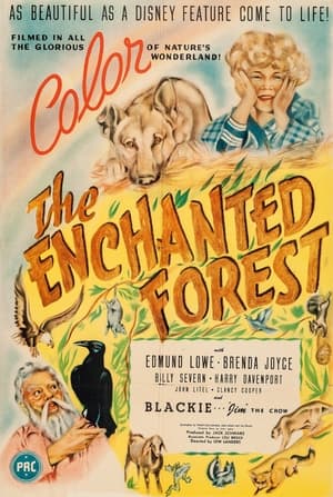 Poster The Enchanted Forest (1945)