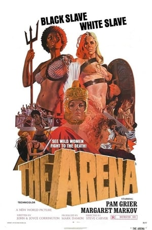Image The Arena