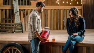 Chesapeake Shores: Stagione 2 x Episodio 3