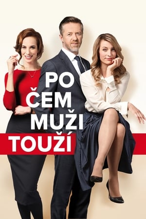 Poster Po čem muži touží 2018