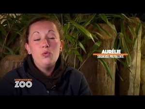 Episode 32