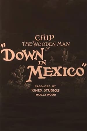 Poster Down in Mexico (1929)