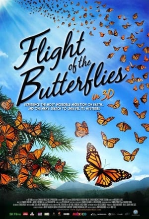 Image Der Flug des Schmetterlings