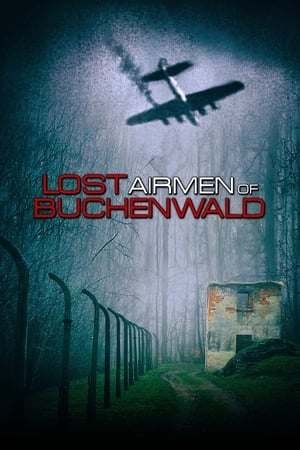 Image Lost Airmen of Buchenwald