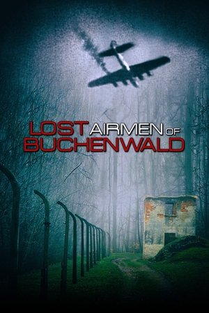 Image Lost Airmen of Buchenwald