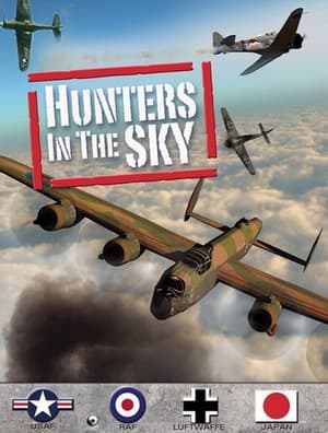 Image Hunters in the Sky: Fighter Aces of WWII