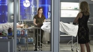 Body of Proof: 2×5