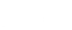 Velha é a Vovozinha — Logos 3