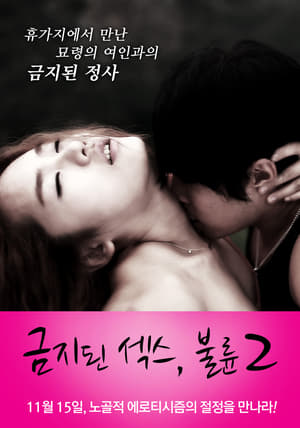 Poster Forbidden Sex: Affair 2 2012