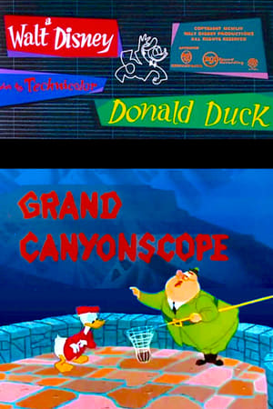 Donald visite le Grand Canyon