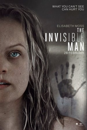 The Invisible Man