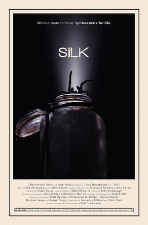 Image Silk